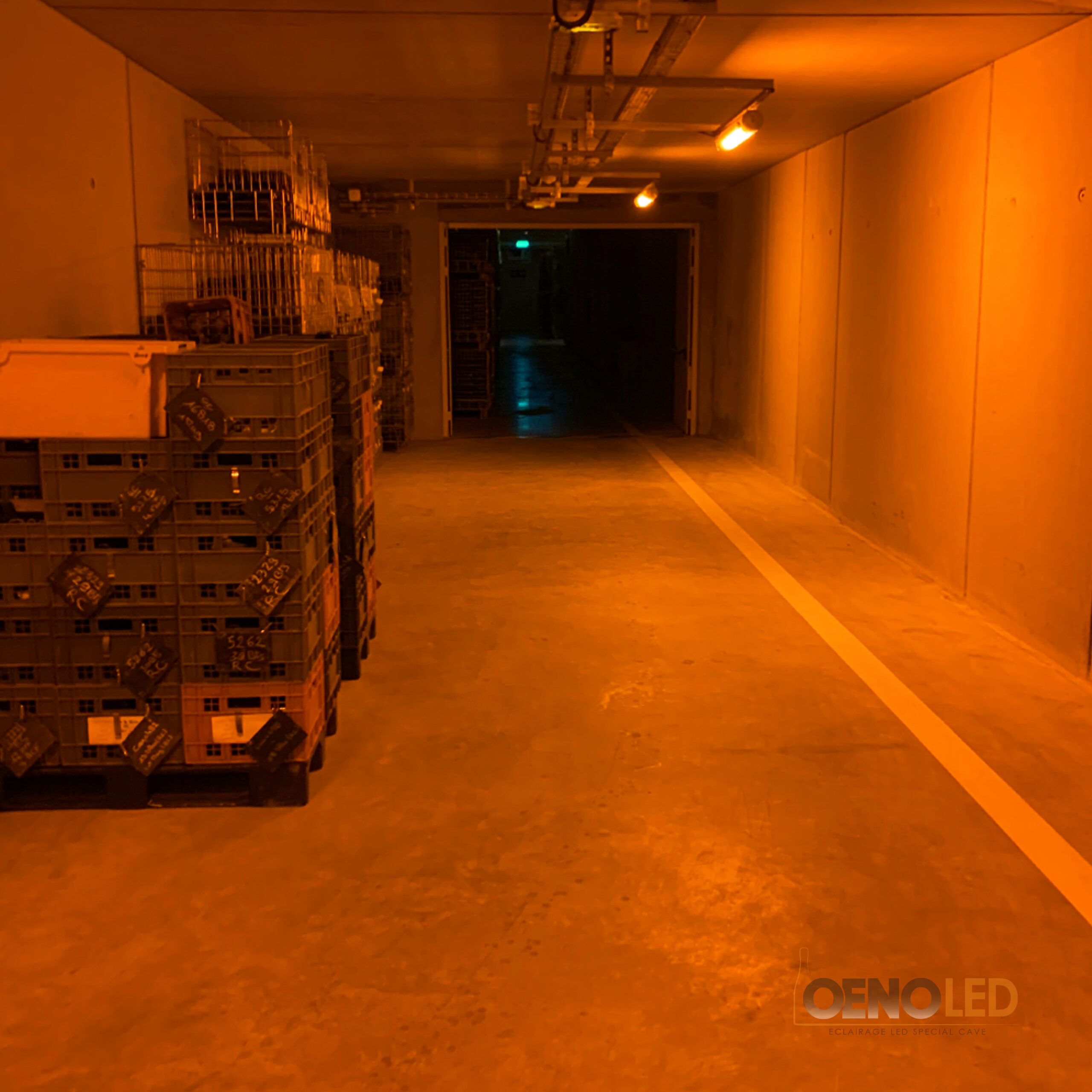 OENOLED  Solutions d'Eclairage LED Spécial Cave Anti Goût de Lumière